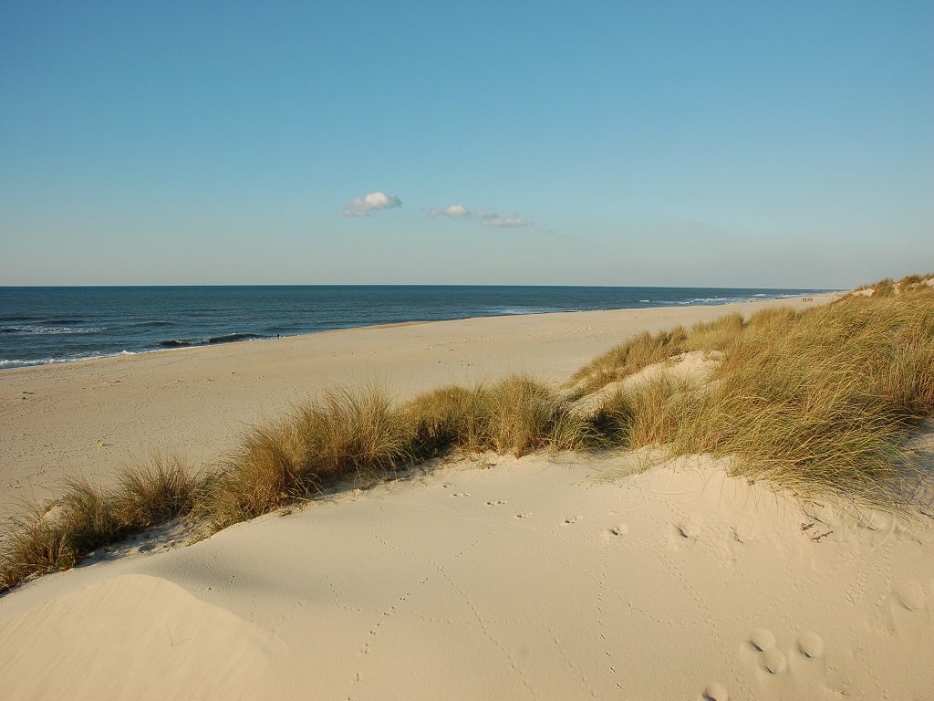 Praia da Tocha